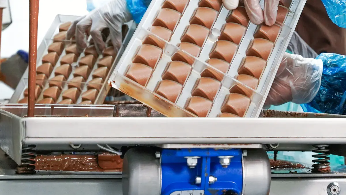 A gloved hand tilting a mould of chocolate pieces beneath the depositor