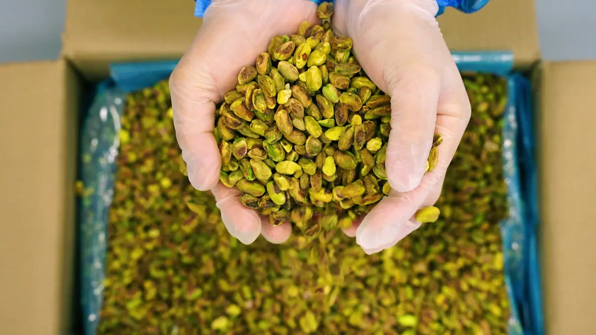 Mains gantées soulevant des pistaches décortiquées d’un carton ouvert