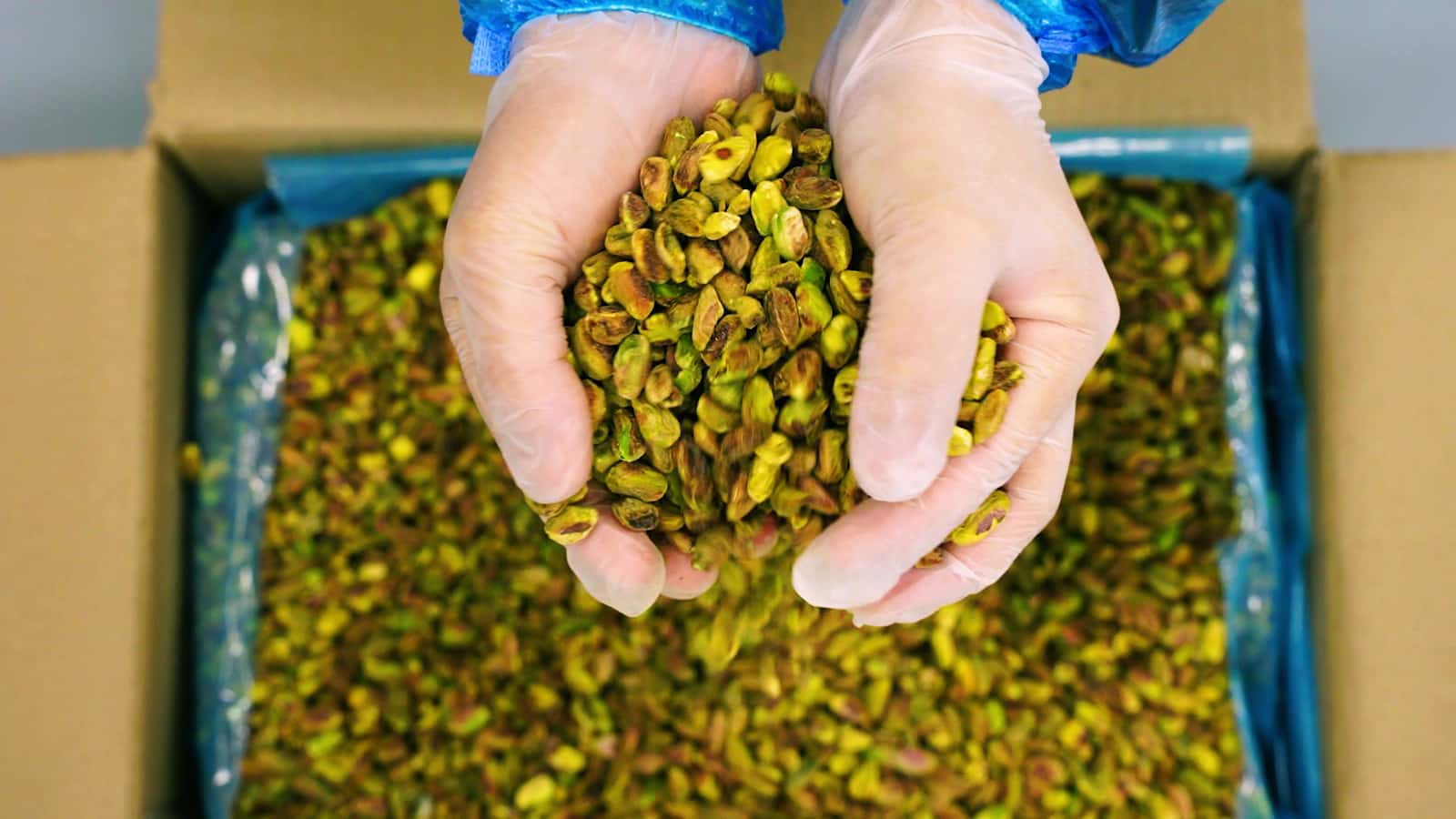 Gloved hands holding shelled pistachios at the EDC factory
