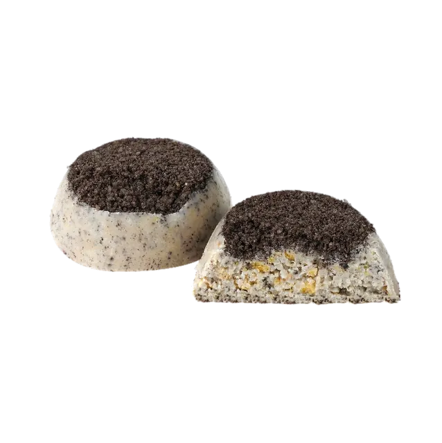 Biscuit au Chocolat – C511