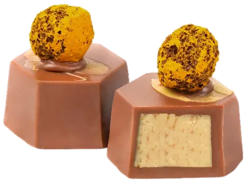 Crème Proleh Safran au chocolat – GL064