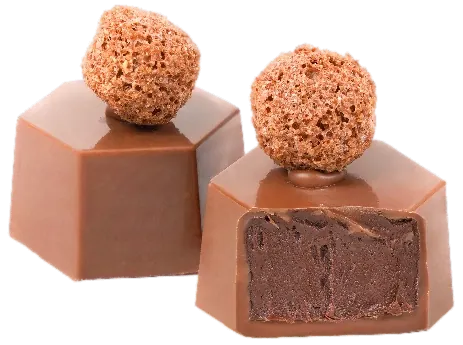 Crème Proleh Nutellino au chocolat – GL065