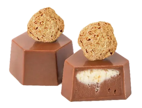 Crème ganache Proleh au chocolat – GL066