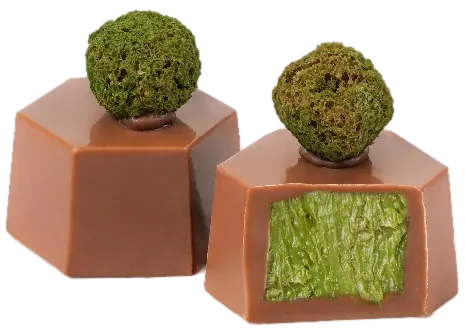 Chocolate Cream Proleh Pistachio – GL068