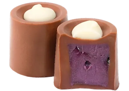 Myrtille Chocolat Grenade – GL072
