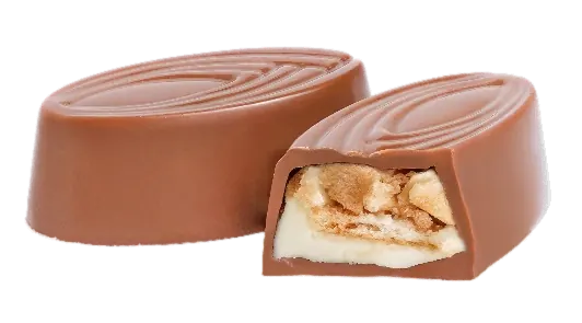 Biscuit Chocolat Cheesecake – GL100