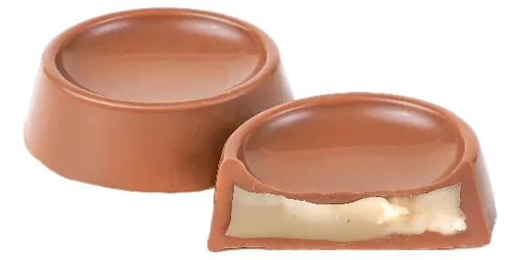 Crème Proleh au chocolat – GL105