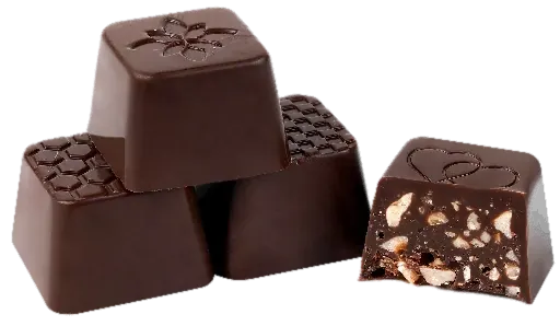 Chocolat Noir Noisettes – GL108