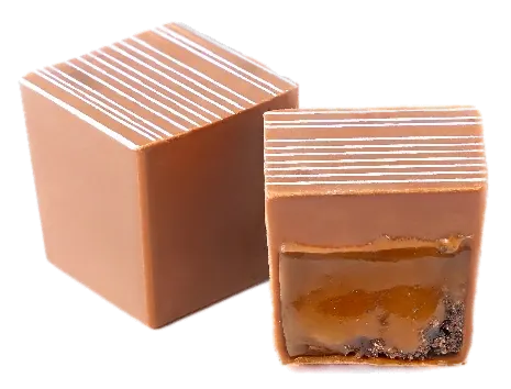 Biscuit au chocolat caramel – GL116