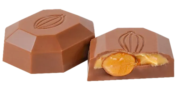 Chocolat Praliné Amande – GL125