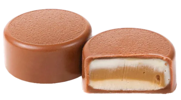 Cheesecake au chocolat Spéculoos Cappuccino – GL128