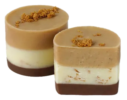 Cheesecake au chocolat Spéculoos Feuilletine – GL136