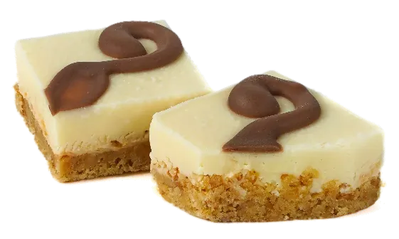 Biscuit cheesecake au chocolat Mangue – GL145
