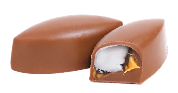 Chocolat Fondant Crème Chocolat Mangue – GL147