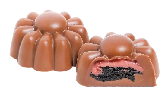 Brownies Chocolat Crème Rose – GL150