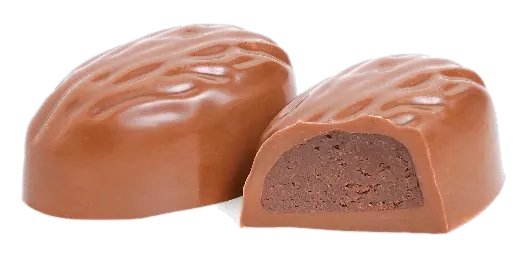 Ganache Chocolat Ananas Sec – GL157
