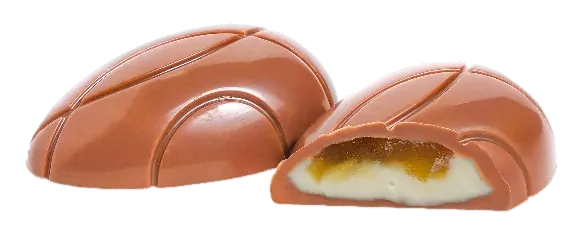 Chocolat cheesecake à l’abricot séché – GL158