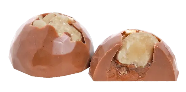 Chocolat Crème Macadamia – GL159