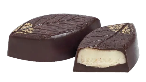 Chocolat Noir Citron Menthe – GL161