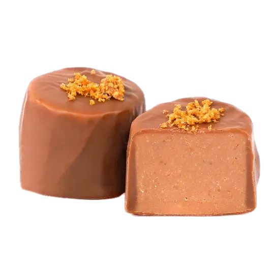 Chocolat Biscuit Spéculoos – KS136