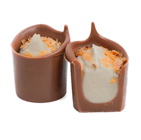 Crème Proleh au chocolat – P273