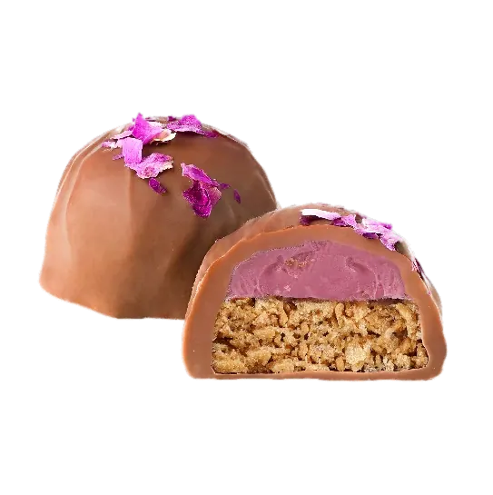 Myrtille Chocolat Feuilletine – TR002