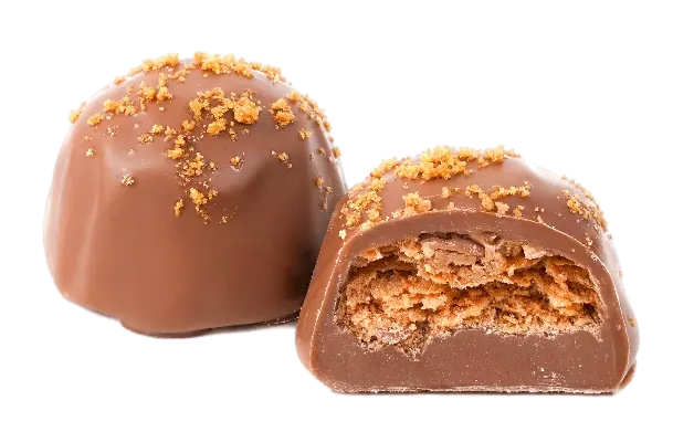 Feuilletine Spéculoos Chocolat – TR004